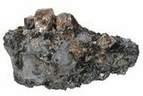 Fluorescent Zircon Crystals in Biotite Schist and Magnetite - Norway #228206-2